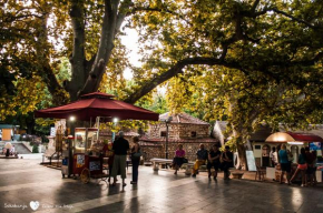 CENTRAL PARK SOKOBANJA